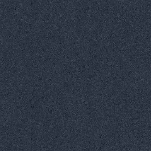 Darling Cove Dark Iris